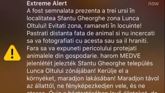 RoAlert: 3 urși pe străzile din Sfântu Gheorghe