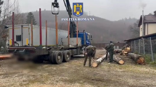 Cercetări într-un dosar penal deschis pentru infracțiuni silvice