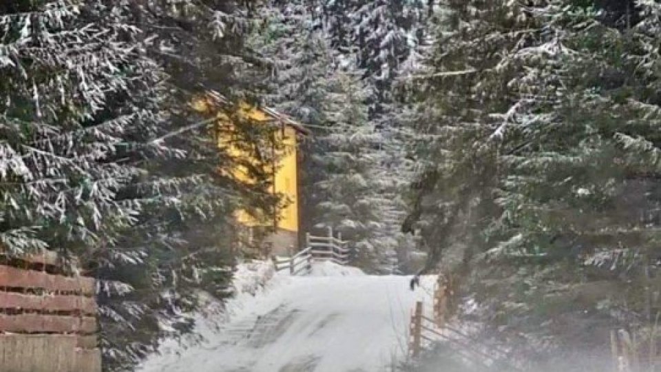 Se anunţă trei zile cu vânt puternic în toată ţara