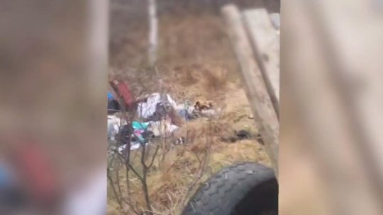 Trei bărbați surprinși aruncând gunoi în pădure, amendați cu 10.000 de lei | Video