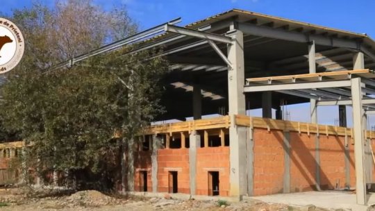 Asociația Milioane de Prieteni ne cere ajutorul pentru construirea unui sanctuar destinat câinilor
