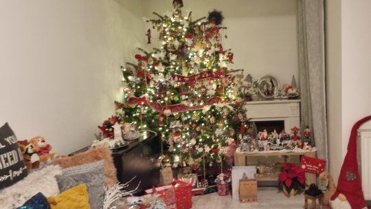 Obiceiuri de Crăciun: Împodobirea bradului