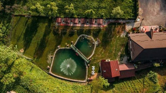 BATTLE OF THE BANDS: Sejur de vis pentru câștigătorii Marelui Trofeu