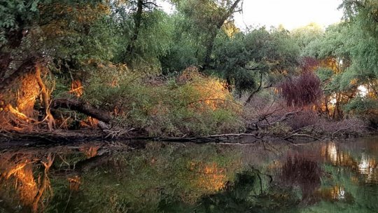 2 Februarie, Ziua Mondială a Zonelor Umede