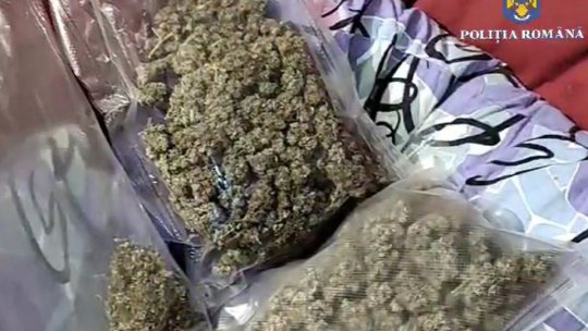 VIDEO Acuzați de trafic de droguri de risc, doi suspecți au fost arestați