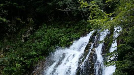 Temperaturi de primăvară astăzi