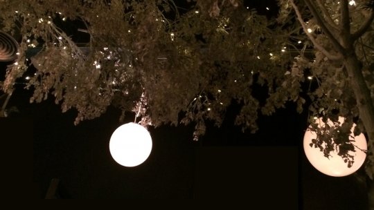 Drumul vechi spre Poiana Brașov ar putea deveni alee de promenadă