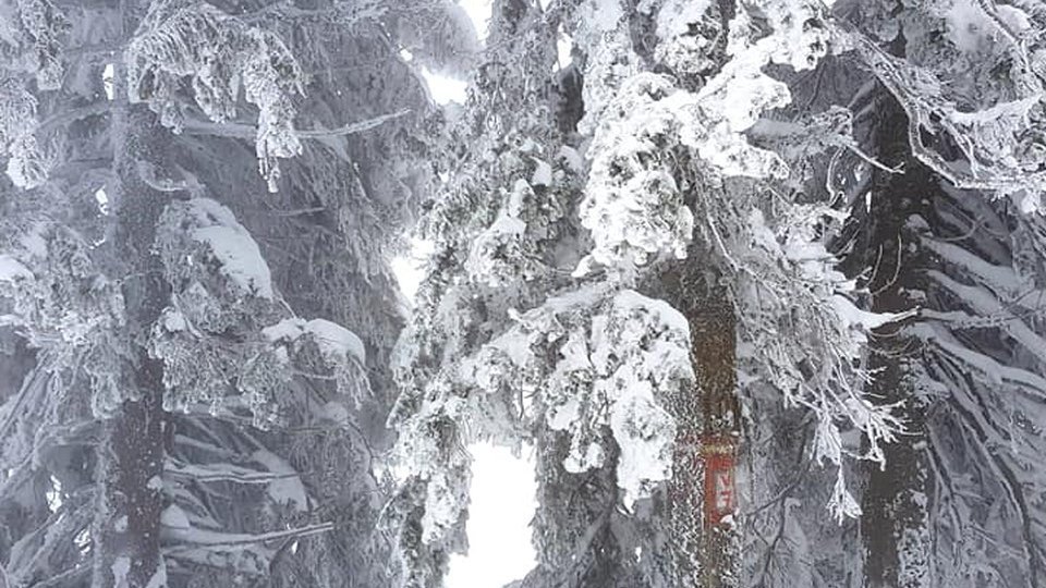 Informare meteo de fenomene periculoase: temperaturile scad cu până la 15 grade Celsius