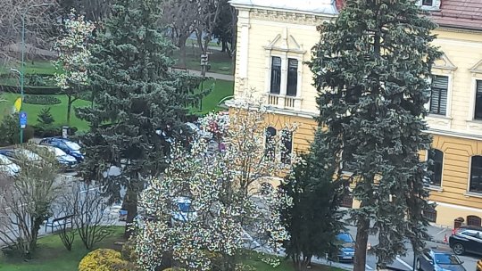 Fenomen meteorologic extrem de rar, la Brașov