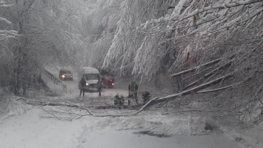 Ninge în tot județul Brașov VIDEO