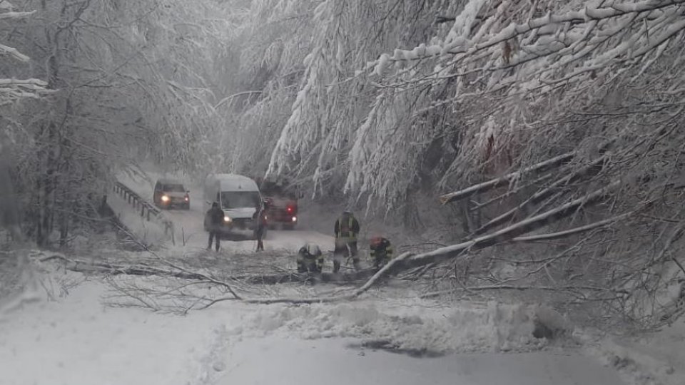 Ninge în tot județul Brașov VIDEO