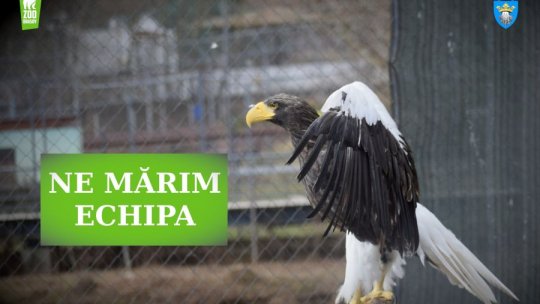 Vreți să lucrați la Zoo Brașov? Acum aveți ocazia