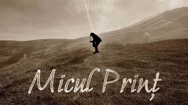 Dora Gaitanovici lansează „Micul Prinț”, alăturându-se programului Ajungem MARI