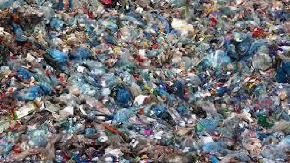 Anul acesta, pe 30 martie, este marcată Ziua internaţională zero deşeuri