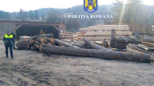 Acțiune amplă a polițiștilor privind combaterea delictelor la regim silvic