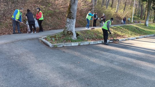 Acțiune de ecologizare pe drumul care face legătura între orașul Râșnov și Poiana Brașov