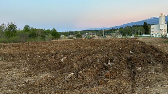 Prima pădure urbană din orașul Victoria