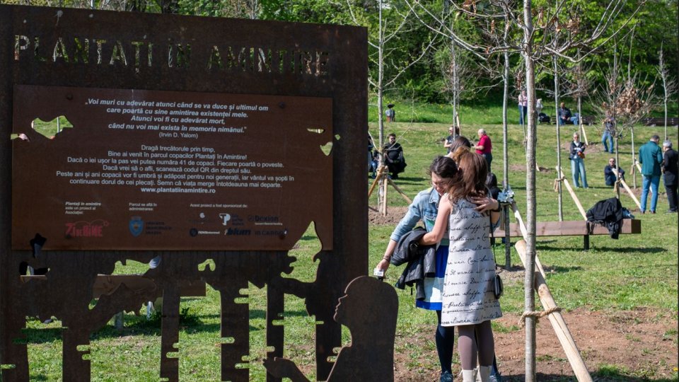 40 de stejari roșii, plantati în Livada Poștei