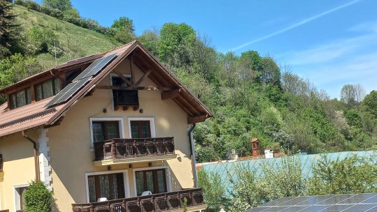 Liliacul de pe Coasta Prundului, o încântare pentru trecători