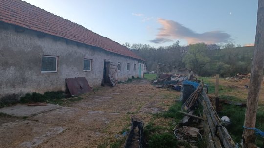 O persoană reținută pentru trafic de minori, după perchezițiile de la stână