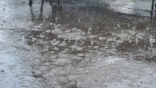 Cod galben de ploi torențiale