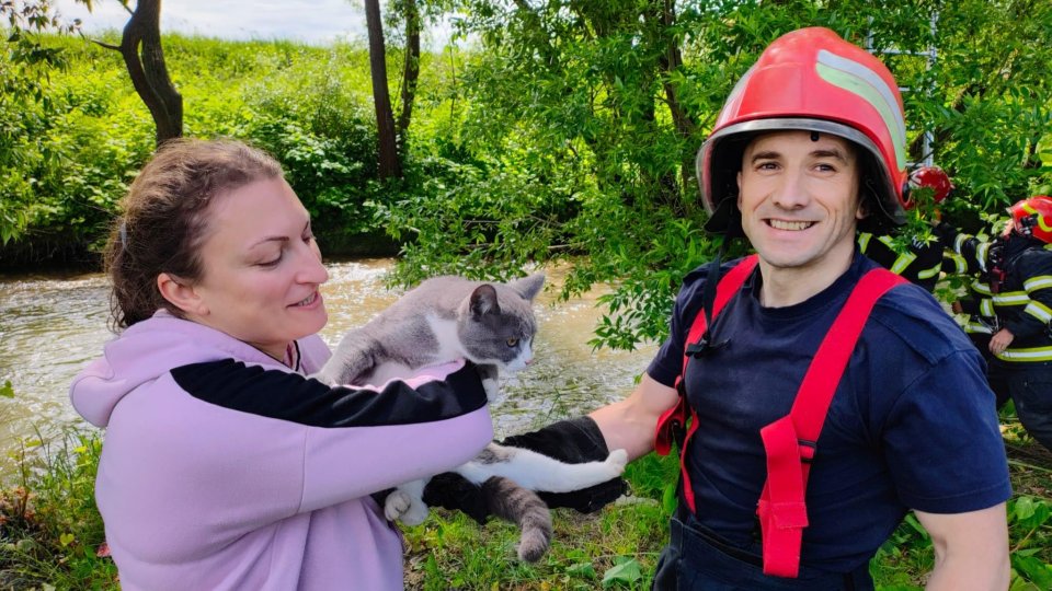 Pompierii au salvat o pisică urcată într-o salcie de 10 metri înălțime