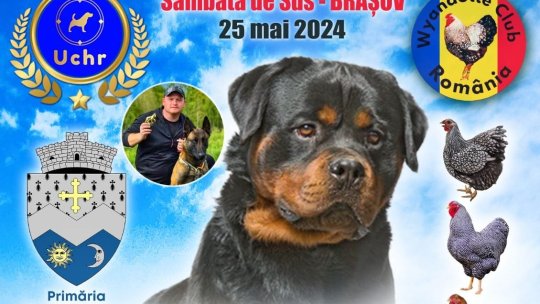 Eveniment inedit la Sâmbăta de Sus