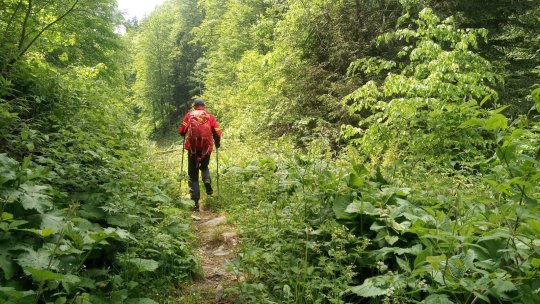 Campanie de prevenire a accidentelor montane