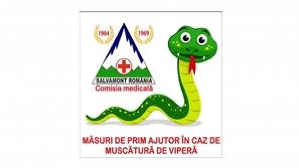 Măsuri de prim ajutor în caz de mușcătură de viperă