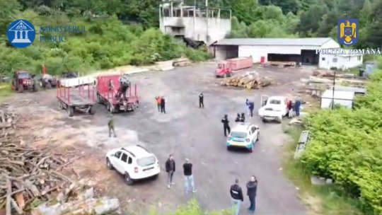 Percheziții la persoane bănuite de infracțiuni silvice