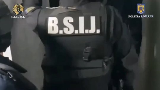 Trei persoane acuzate, printre altele, de furt de arbori, fals în declarații și fals intelectual, au fost reținute
