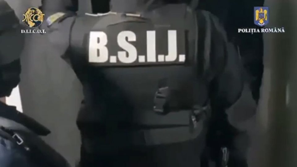 Trei persoane acuzate, printre altele, de furt de arbori, fals în declarații și fals intelectual, au fost reținute