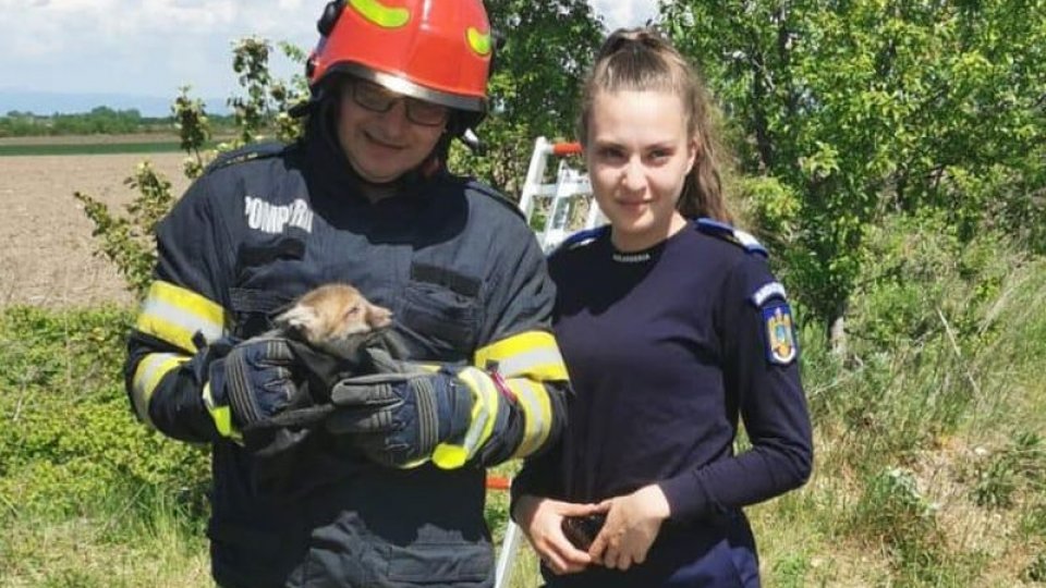 Intervenție inedită pentru pompierii brașovenii