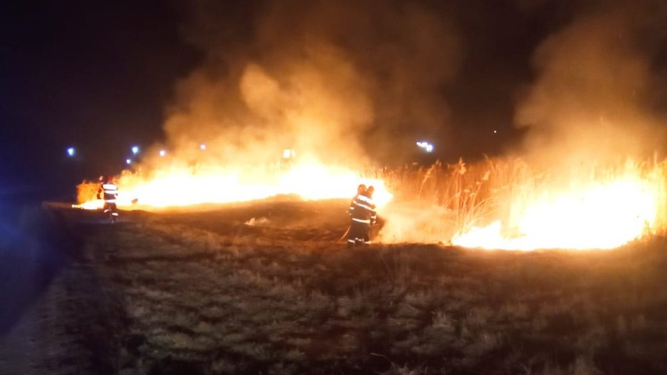 Canicula favorizează producerea incendiilor de vegetație!