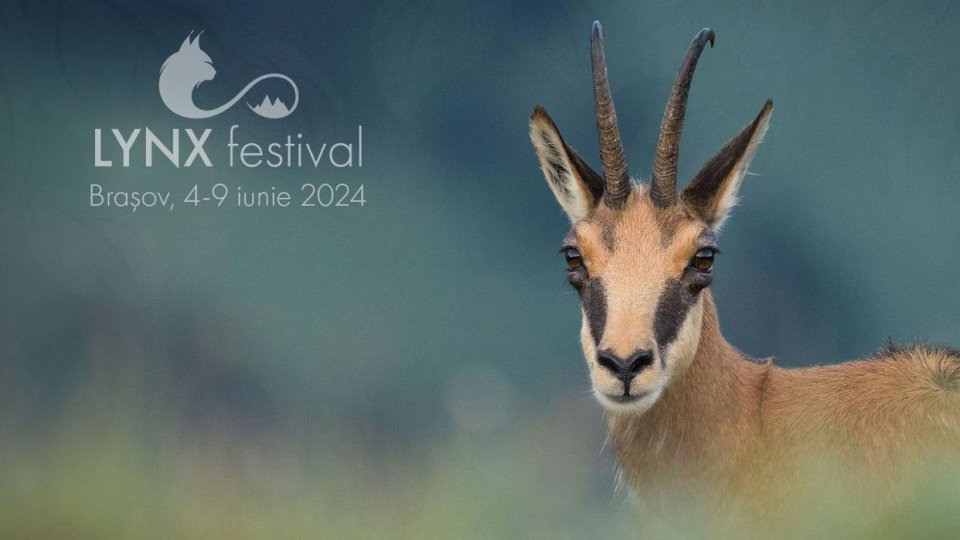 Bilete epuizate pentru toate proiecțiile din programul festivalului LYNX