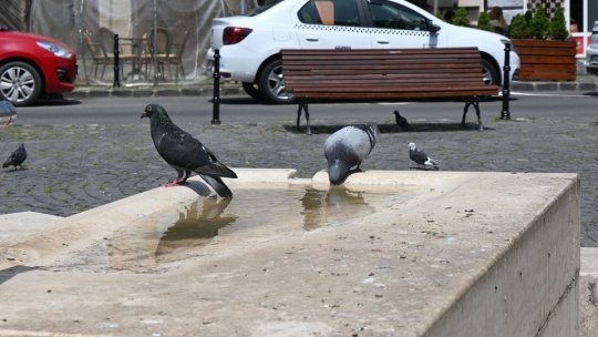 Vremea 6 iunie. Temperaturi caniculare, de până la 33 de grade