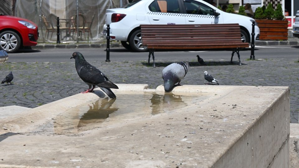 Vremea 6 iunie. Temperaturi caniculare, de până la 33 de grade