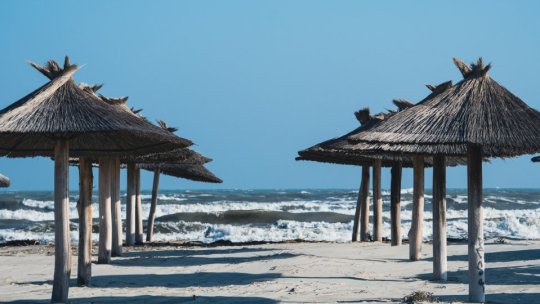 Alertă în Marea Neagră: Alge otrăvitoare determină interzicerea pescuitului de midii și rapane