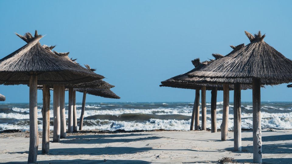Alertă în Marea Neagră: Alge otrăvitoare determină interzicerea pescuitului de midii și rapane