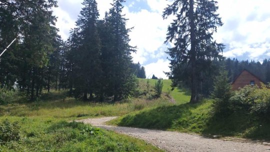 AUDIO Recomandări pentru amatorii de drumeții montane pe perioada caniculei
