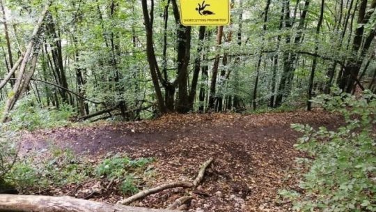 Sfaturi de la Salvamont Brașov! Cum să evităm întâlnirea cu animalele sălbatice în timpul drumețiilor
