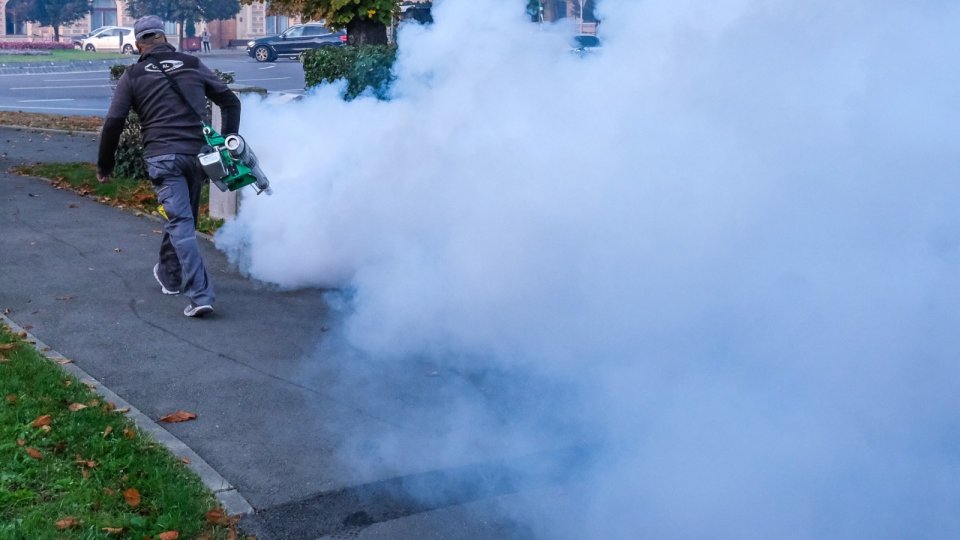 O nouă campanie de dezinsecție, de marți, în municipiul Brașov