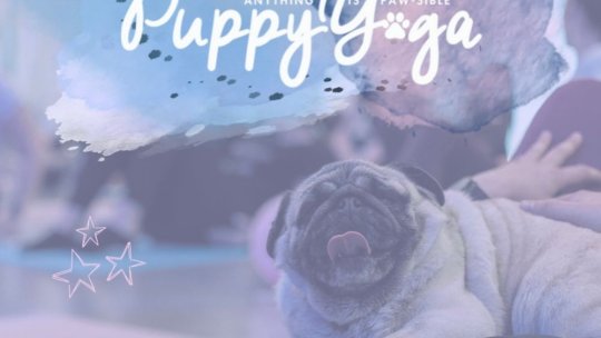 Puppy Yoga ajunge la Brașov, pe 24 august