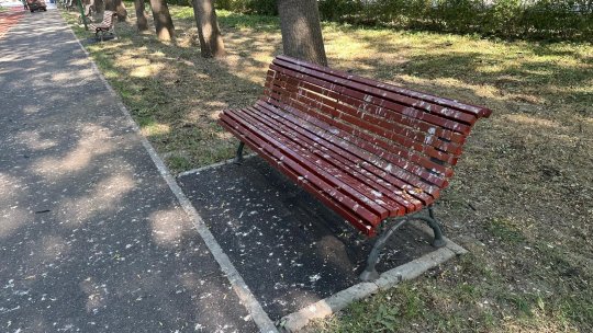 O parte a parcului Tractorul seamănă adeseori cu un coteț