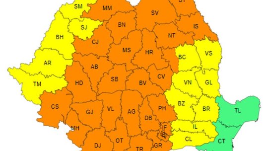 COD PORTOCALIU de vijelii, la Brașov