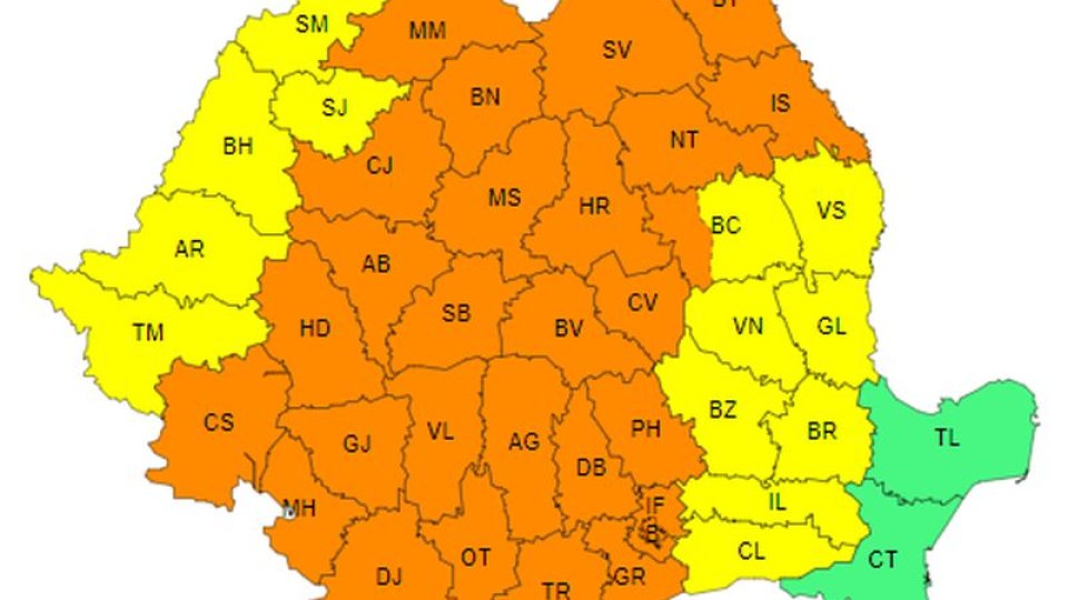 COD PORTOCALIU de vijelii, la Brașov