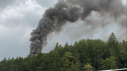 Incendiu la Dino Parc Râșnov