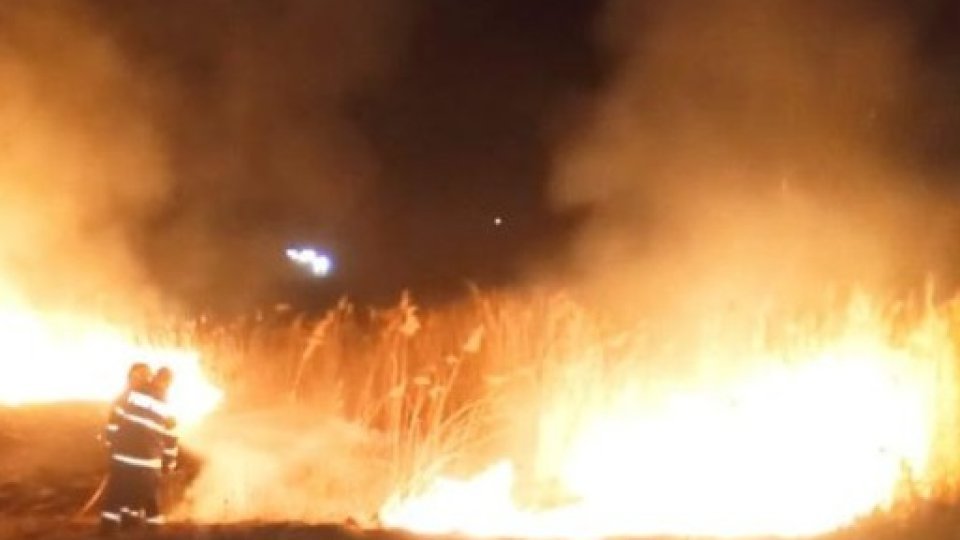 Numărul incendiilor de vegetaţie înregistrate în România în luna iunie a acestui an s-a triplat faţă de perioada similară de anul trecut
