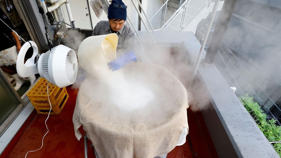 Muzica, folosită la prepararea băuturii japoneze „sake”