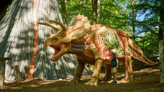 Uriași noi la Dino Parc Râșnov, printre care un dinozaur de 20 m înălțime